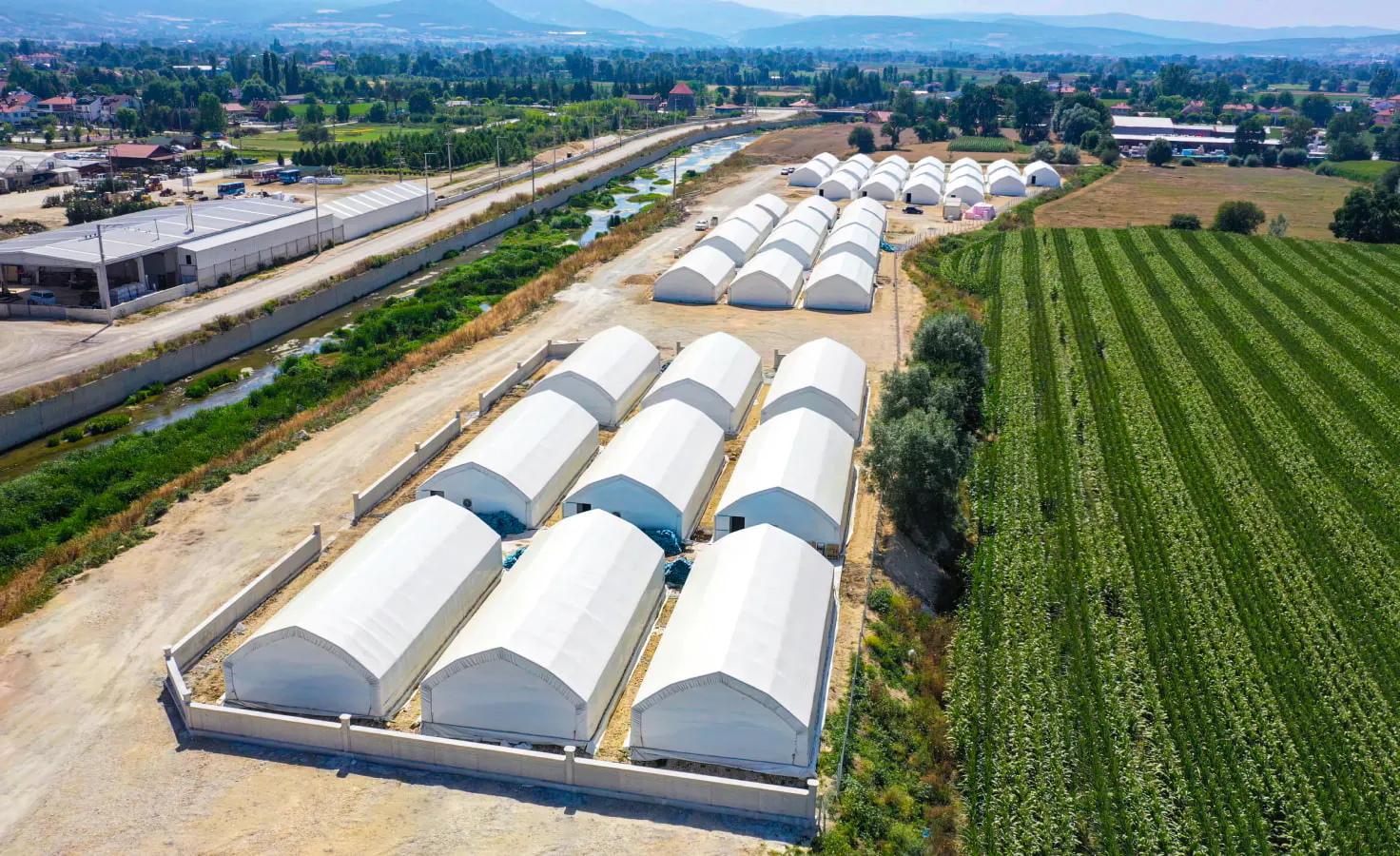 Transforming Agriculture for Prosperity